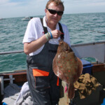 Madpolka plaice