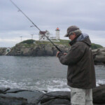 Nubble Light stripers