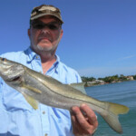 snook fishing naples florida
