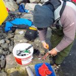 iceland fishing