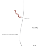 recoil rig